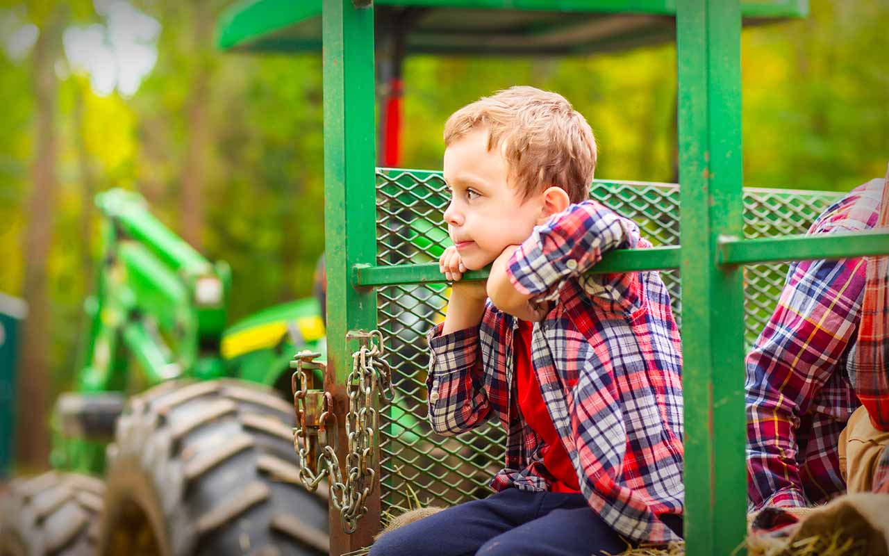 farm-fun